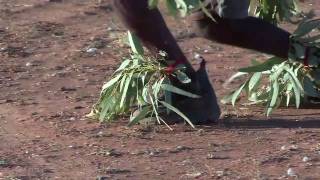 Part 5 Mens Corroboree Opening Protest House Ampilatwatja Walkoff NT [upl. by Vitek244]