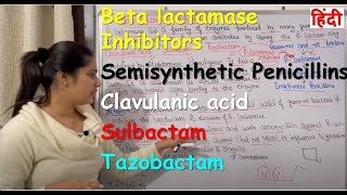 Beta lactamase Inhibitors  Semisynthetic Penicillins  Clavulanic acid  Sulbactam  Tazobactam [upl. by Alfons755]