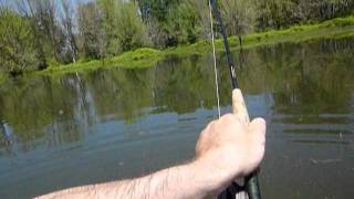 Carp Flats Fishing Somewhere Near Portland 642011 [upl. by Oicaro45]