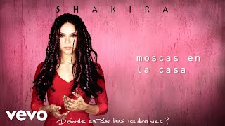 Shakira  Moscas en la Casa Letra Lyrics [upl. by Eerol]