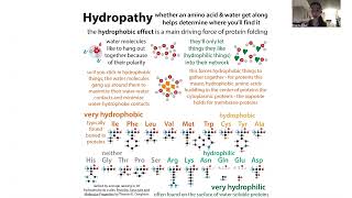 DMSO biochemistry [upl. by Sialac120]