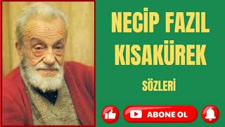 Necip Fazıl Kısakürek Sözleri [upl. by Donnelly]