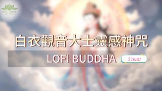 白衣觀音大士靈感神咒 lofi lofibuddha lofichillattractionlawmantra [upl. by Thekla]