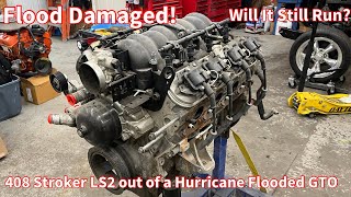 LS2 408 Stroker Out of a Hurricane Flooded GTO Is This Engine Any Good BTR Texas Speed Holley LSX [upl. by Ymmit]