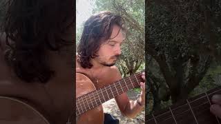 Allemande  JS Bach classicalmusic classicalguitar guitar music nature [upl. by Eatnuhs]