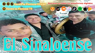 El sinaloense Banda la Fiestera Oficial [upl. by Shawn485]