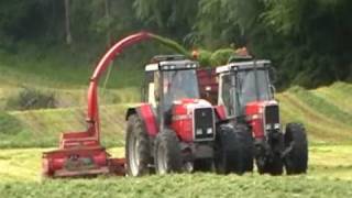 Masseys Silage Harvesting [upl. by Addy]