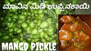 Mango Pickleಮಾವಿನ ಮಿಡಿ ಉಪ್ಪಿನಕಾಯಿಅಪ್ಪಿ ಮಿಡಿ ಉಪ್ಪಿನಕಾಯಿTraditional mango pickle recipe in kannada [upl. by Ahsenot]