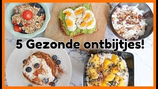 5 Recepten voor een Gezond Ontbijt  OPTIMAVITA [upl. by Sergeant]