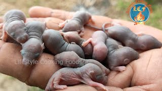 Wow Cooking amp Eating Baby Rat Recipe in Village  Can you Eat Frying Baby Rat [upl. by Sukul]