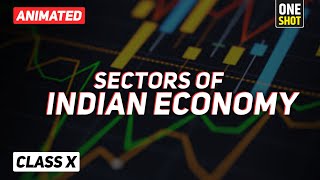 Sectors of Indian Economy class 10 full chapter Animation  Class 10 Economics Chapter 2 CBSE ep01 [upl. by Cohbert343]