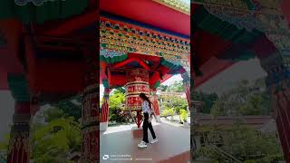 Itanagar gonpa🙏🙏✨youtubeshorts goodday blessed youtube [upl. by Dionne]