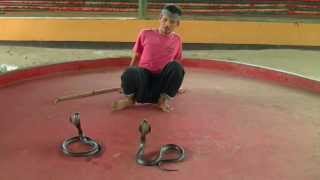 Thailand  Chiang Mai  Snake Show [upl. by Burny]