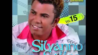 Defeito Meu Silvanno Salles 2011 Vol 15 YouTube [upl. by Aerdnaz]