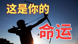 生命智慧 636【这是你的命运】不是你在等上帝而是上帝在等你 l 装备生命 [upl. by Joo]