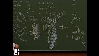 Thorax 1  Anatomie de la cage thoracique Ribthoracic cage [upl. by Alioz]