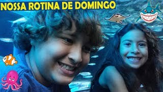 NOSSA ROTINA DE DOMINGO ★ Diversão no aquário gigante ★ [upl. by Elconin165]