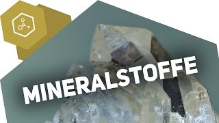 Mineralstoffe  Wofür brauchen wir sie [upl. by Kcirderf16]