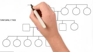 How to Draw a Family Tree  Part 2 Advanced [upl. by Raddi670]