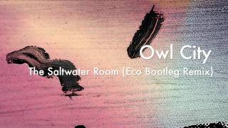 Owl City  The Saltwater Room Eco Bootleg Remix [upl. by Betthel]