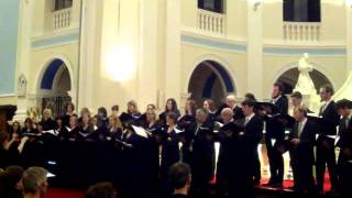 Under Song  Mornington Singers [upl. by Mussman326]