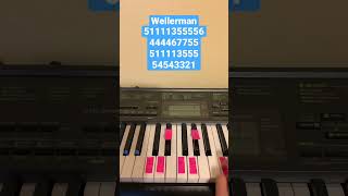 How To Play Wellerman  Easy Piano Tutorial shorts [upl. by Goodrich693]