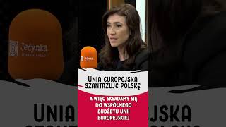 NIE ŻYCZĘ SOBIE aby Unia Europejska SZANTAŻOWAŁA POLSKĘ [upl. by Halimak903]