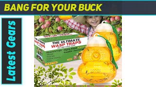 Wasp Trap Bee Traps Catcher Most Effective Trap [upl. by Delsman377]