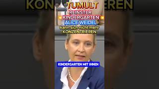 💥EKLAT💥 Alice Weidel legt sich mit GANZEM BUNDESTAG an⚡ afd ampel spd weidel politik cdu spd [upl. by Ankeny]