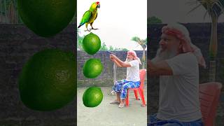 Rounding lemons to Duck Peacock Pigeon amp Parrot  Birds names magic video [upl. by Wunder]