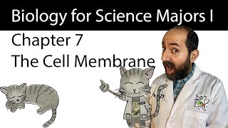 Chapter 7 – Membrane Structure and Function [upl. by Leen]