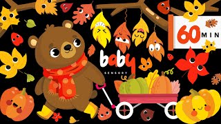 Bear Sensory Autumn Journey For Babies Pumpkins amp Dancing Leaves High Contrast Visual Stimulation🍁 [upl. by Er170]