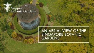 An Aerial View Of The Singapore Botanic Gardens [upl. by Heron]