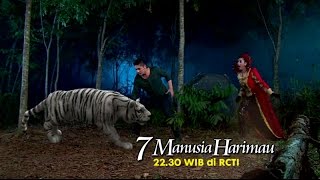 7 MANUSIA HARIMAU  Pitaloka menjadi harimau karena terpancing Hangcinda [upl. by Maloy]