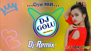 Meenawati Dj Song  Dj Remix Song 2023  Dj Golu Meena  Dj Remix Song Meenawati [upl. by Eelime]