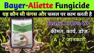 Aliette Fungicide । Fosetyl Al 80 WP । Bayer Aliette Fungicide । Bayer Best Fungicide [upl. by Biles]