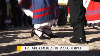 Grande successo per la quotFesta degli Alberi e dei Prodotti Tipiciquot [upl. by Naamana382]