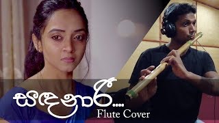 Sandanari Flute Cover  S D Aloka [upl. by Ettelra828]