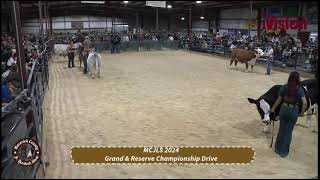 Maverick County Junior Livestock Show Day 3  Championship Drive  January 19 2024 [upl. by Verda402]