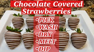 How To Make Chocolate Covered Strawberries [upl. by Ashti853]