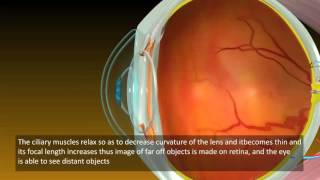 Power of Accommodation of Human Eyes  Class 10th Science Video [upl. by Fleece]