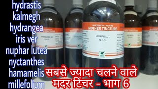 most useful mother tincture  6 hamamelis q nuphar lutea q kalmegh q hydrastis q nyctanthes q [upl. by Cooperman]