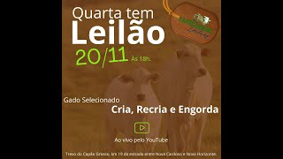 Capão Grosso Leilões  AO VIVO  20112024 [upl. by Letnuahc]