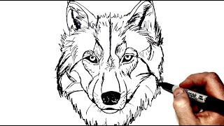 How To Draw A Wolf  Step by Step [upl. by Wadsworth]