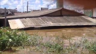 Enchente do Rio Madeira em Porto Velho  RO [upl. by Nnylkcaj]