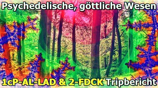 Psychedelische göttliche Wesenquot 🤩 1cPALLAD amp 2FDCK – Eure Berichte [upl. by Normalie]