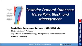 Posterior Femoral Cutaneous Nerve Pain Block and Treatment [upl. by Rhiamon]