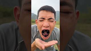 Very Useful to Cure Bad Breath camping bushcraft outdoors survival lifehacks [upl. by Frayda]