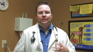 Cat Care Fleas amp Parasites  Symptoms of Heartworms in Cats [upl. by Novyaj]