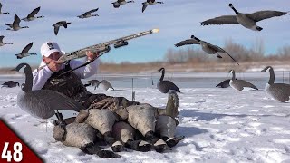 EPIC Solo Goose Hunt on ICE Limited Out  Goose Hunting 2022 [upl. by Noyar]